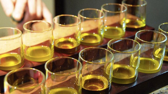 corso-degustazione corso degustazione extravergine