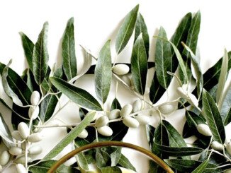 Benefici olio d'oliva