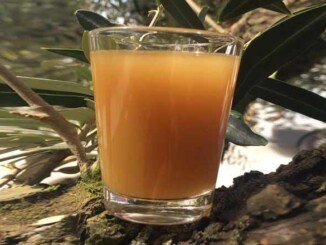 Le foglie d'olivo