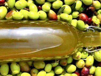 Olio, elisir di lunga vita